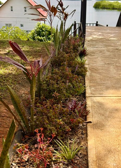 A flower bed beside the path