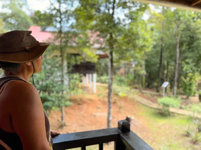 Looking out at the jungle from the balcony