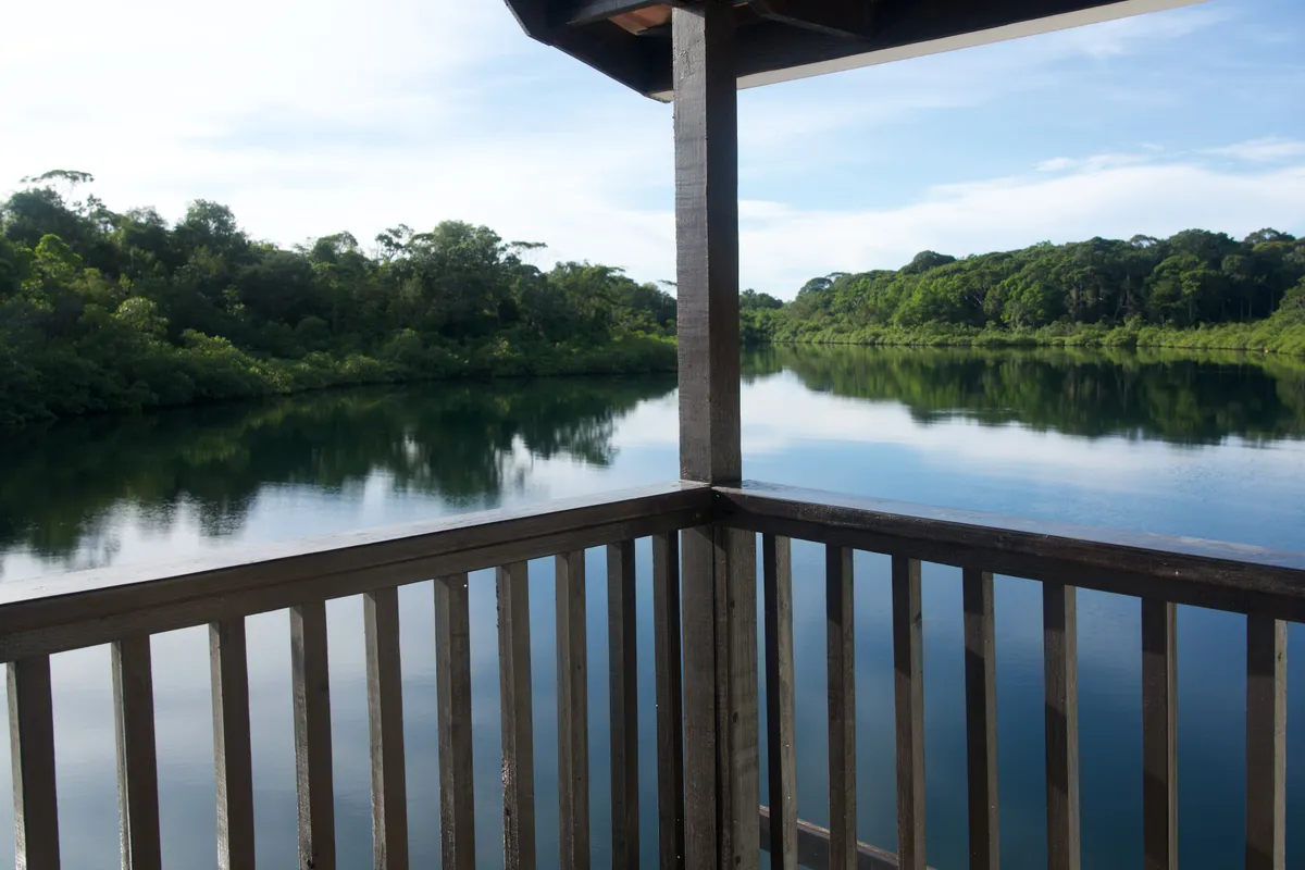The lagoon and the mangroves from the balcony railing