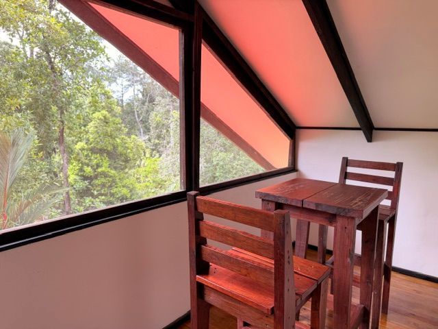 The top floor, with wide windows onto the jungle