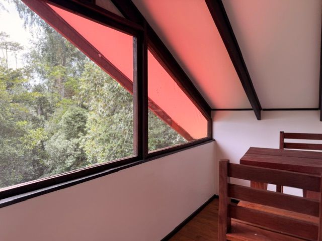 The top floor, with wide windows onto the jungle