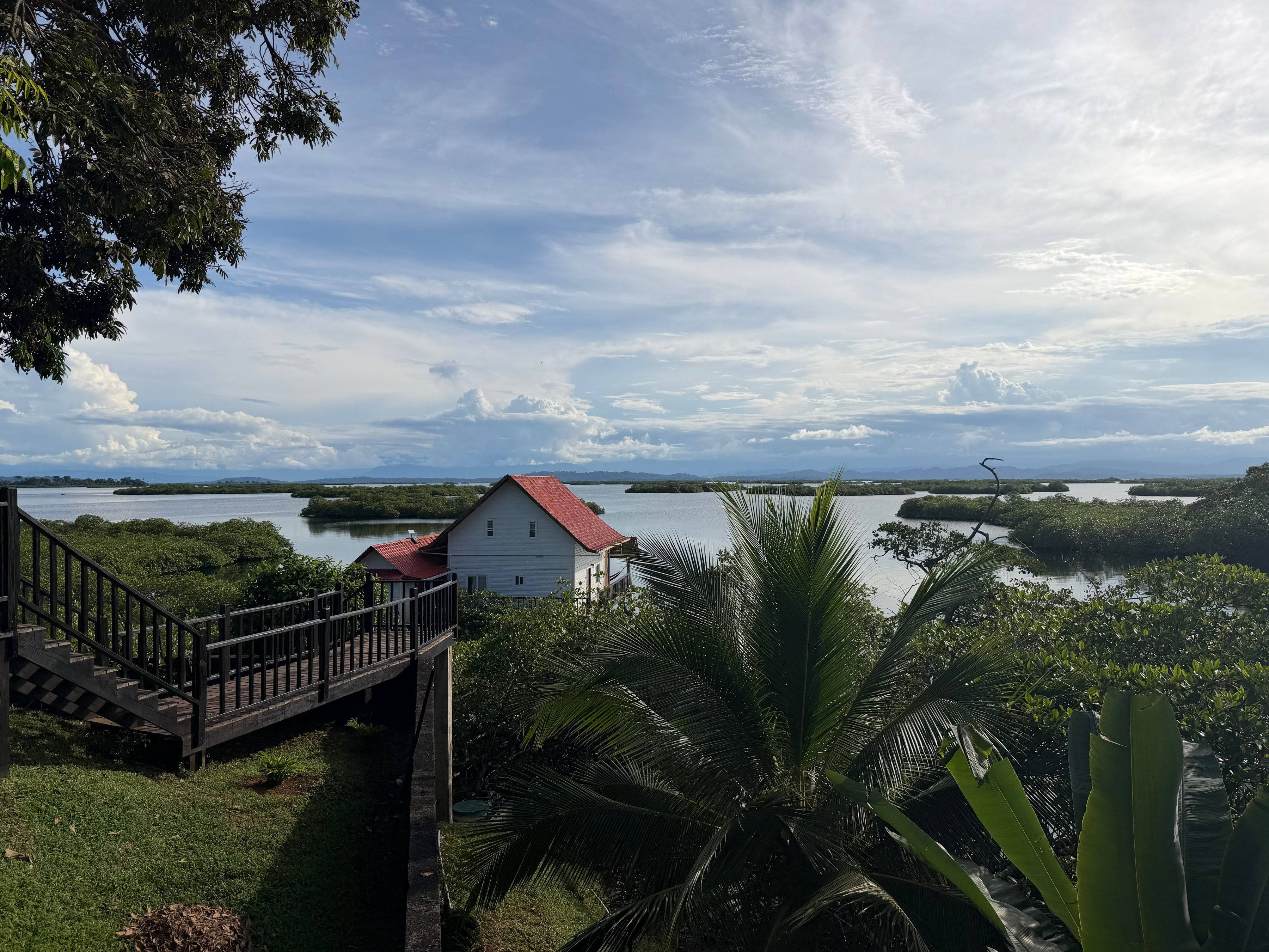 El Tulipán Perdido among the mangroves, with the lagoon and the islands beyond, seen from the garden