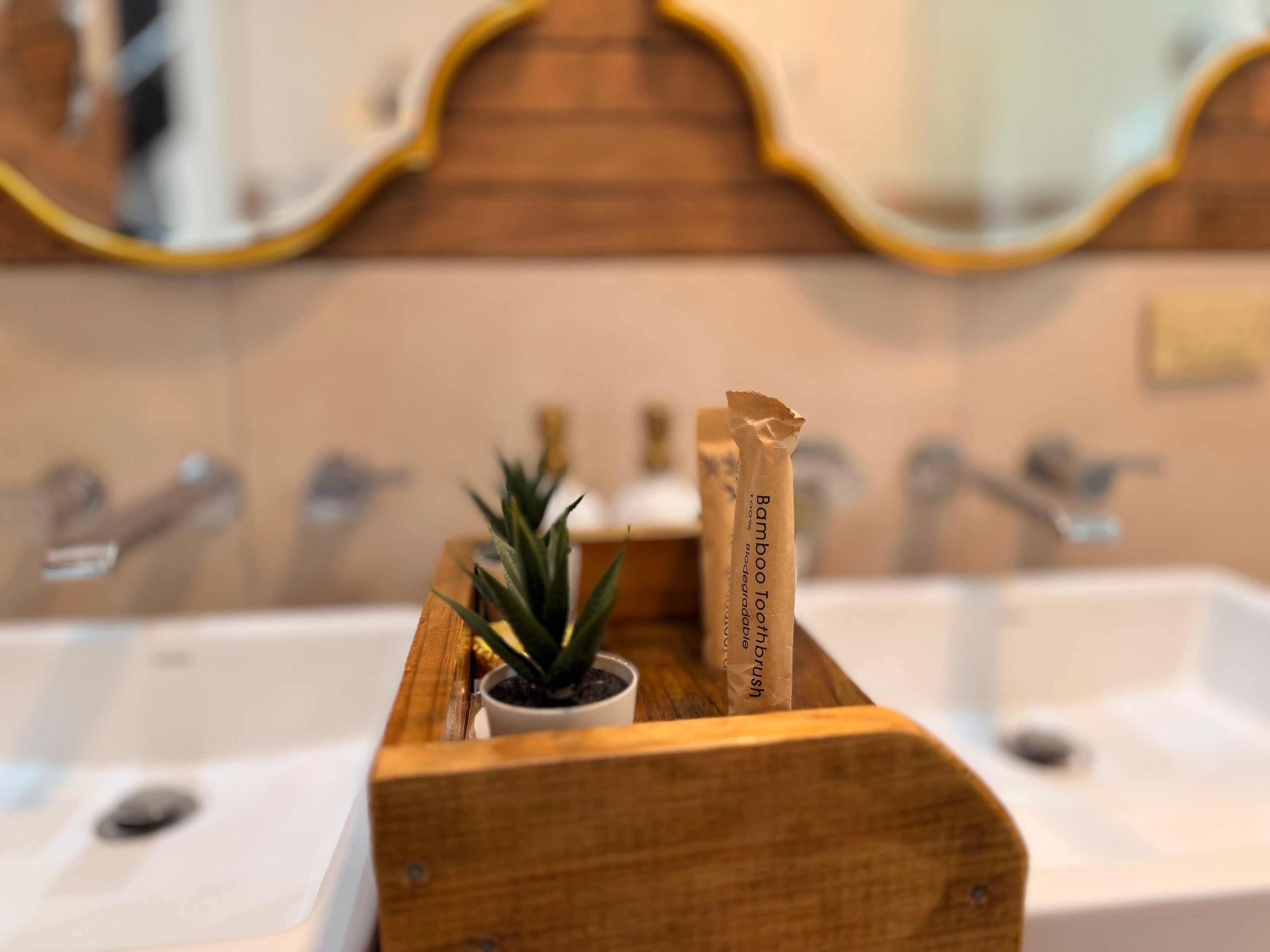 Detail of the sinks and bath amenities