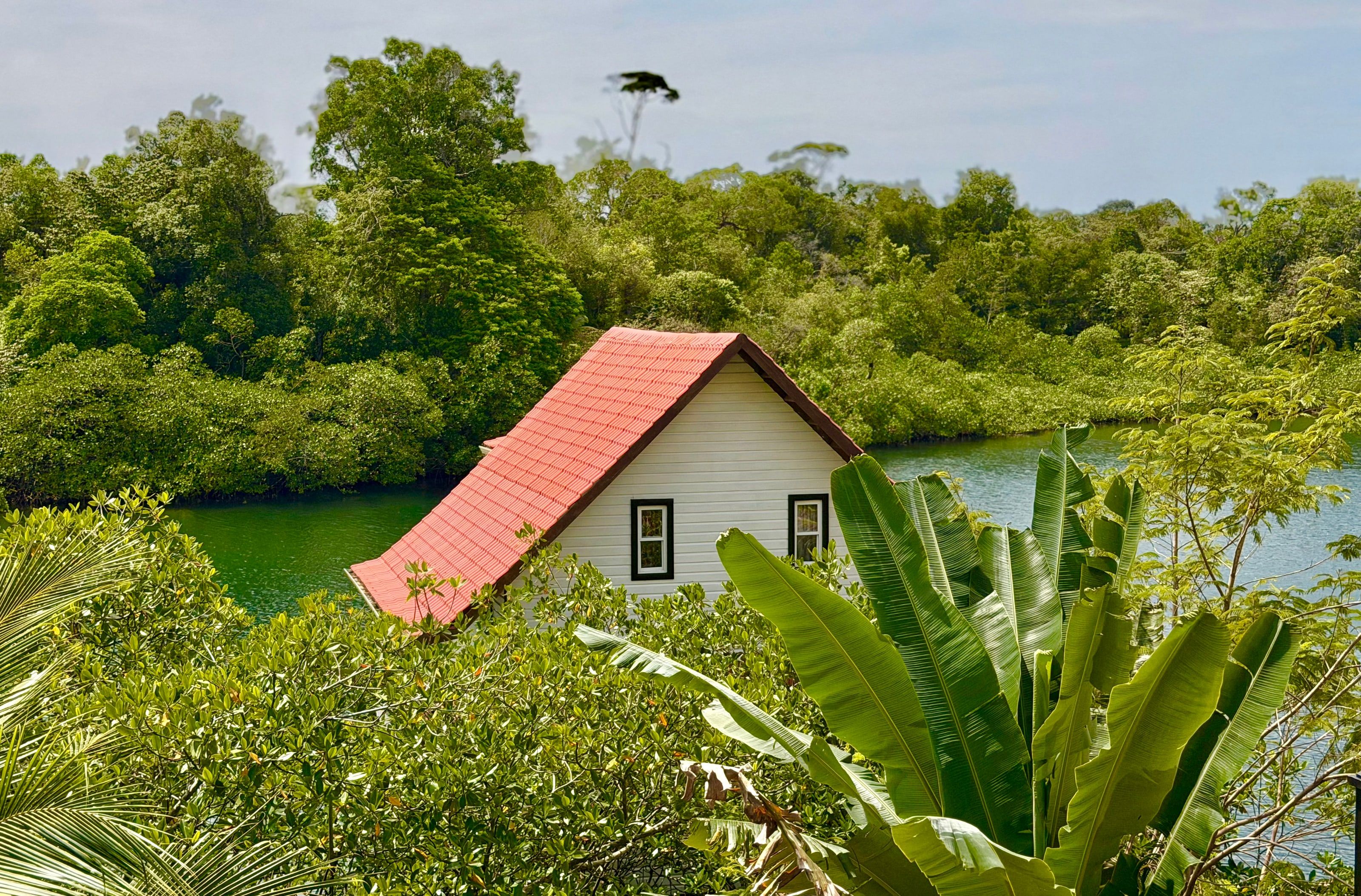 The roof of Casa del Mar among the mangroves, with the lagoon behind