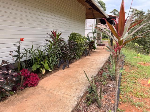 A path beside a bed of tropical plants