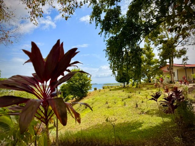 The garden on the slope, with the water beyond