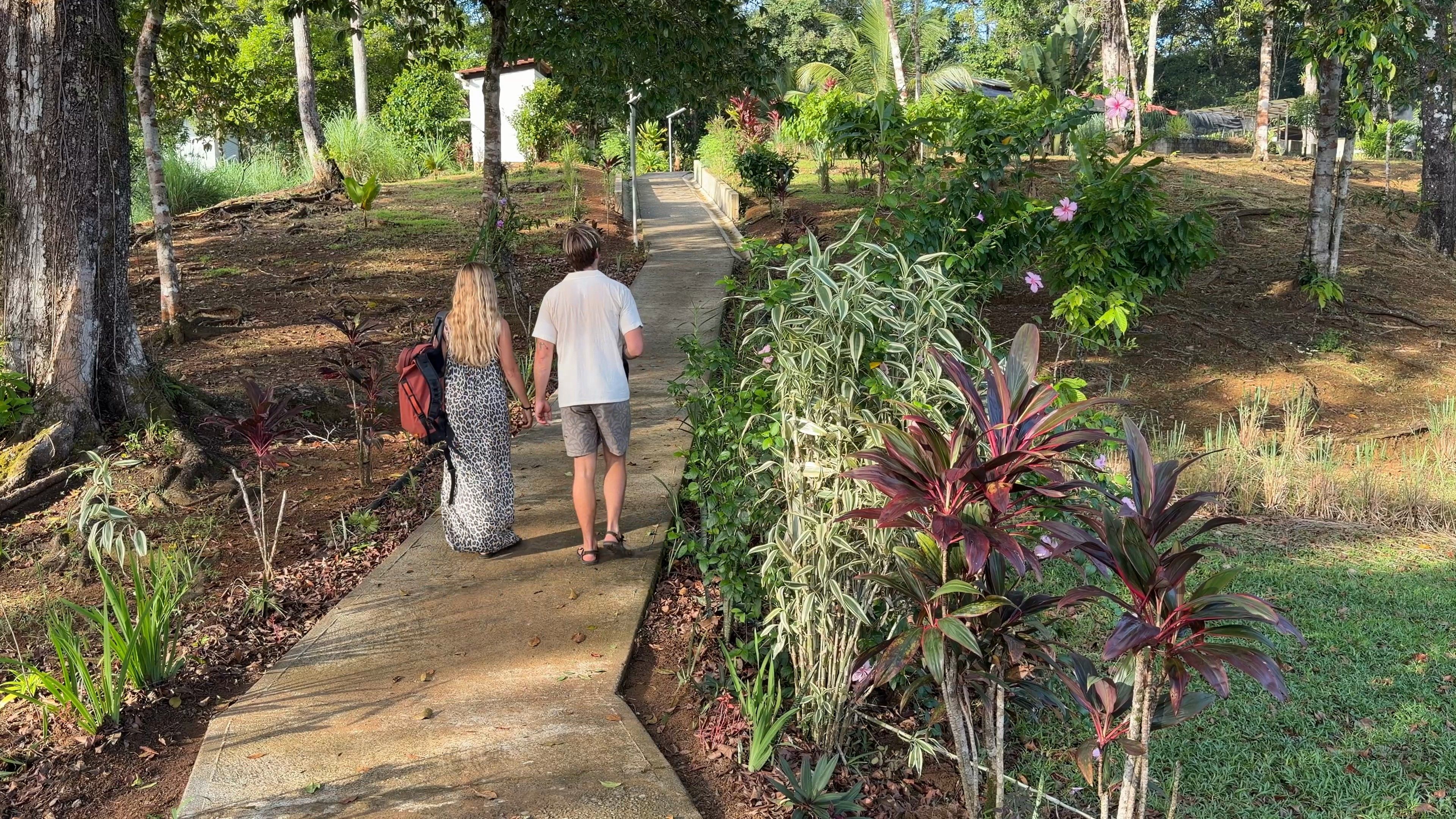 Two people walk along the garden path, among ti plants and trees