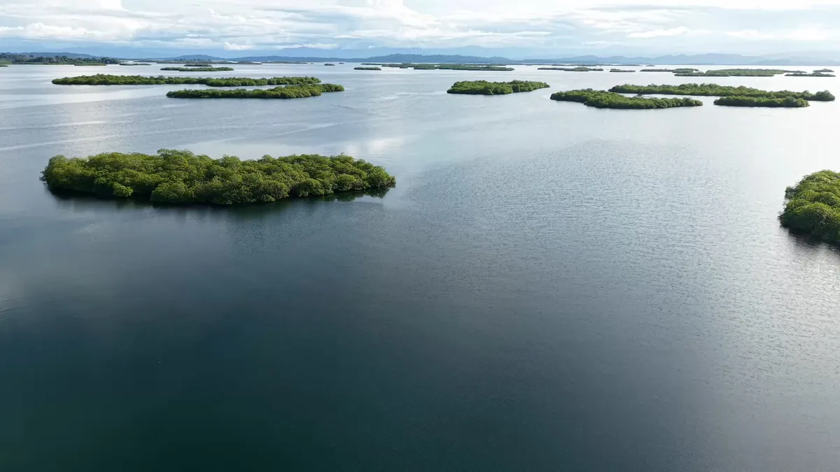 The lagoon from the air: mangrove islets on calm water, with the mountains beyond