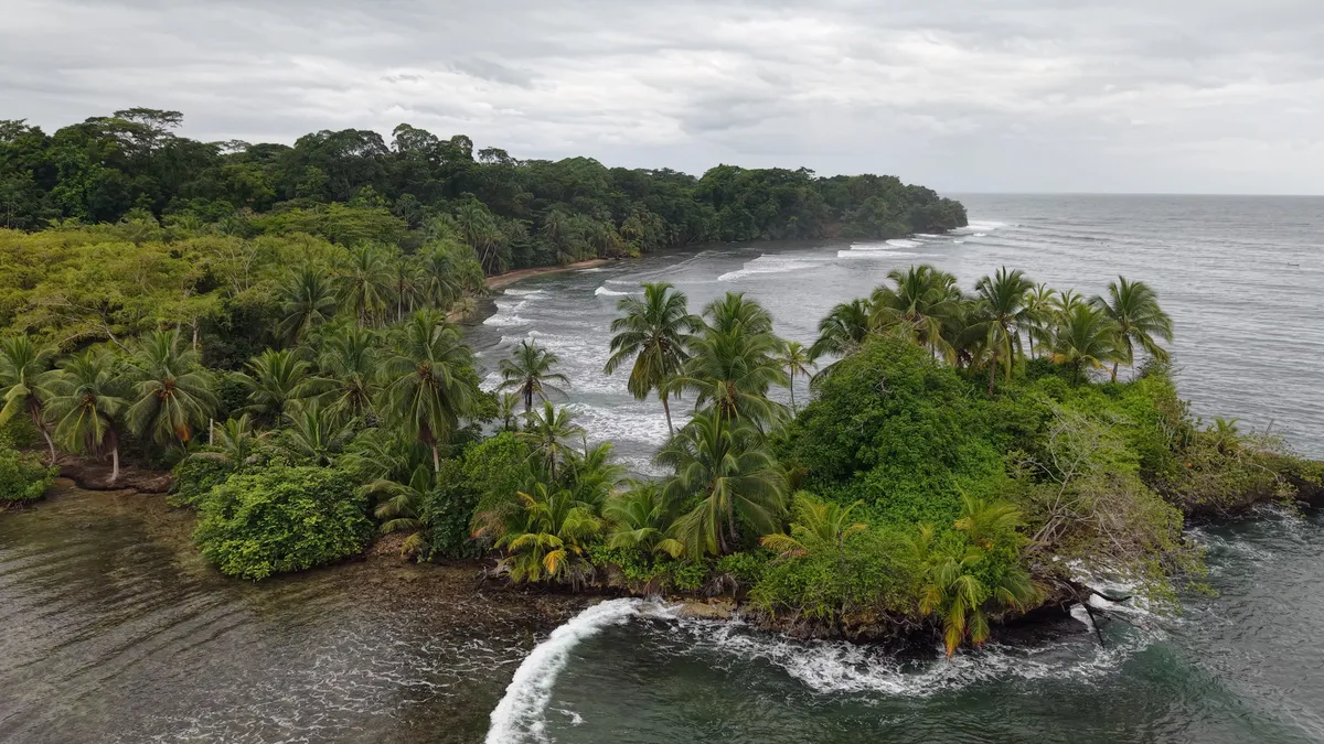 A palm-covered point in the Bocas del Toro archipelago, with the open sea beyond