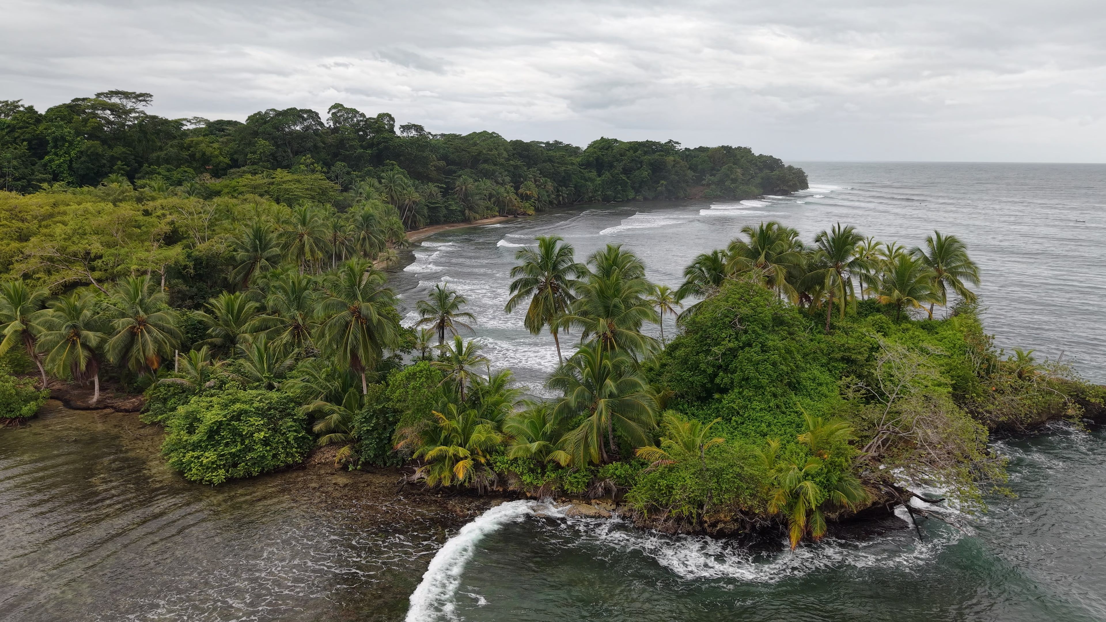 A palm-covered point in the Bocas del Toro archipelago, with the open sea beyond