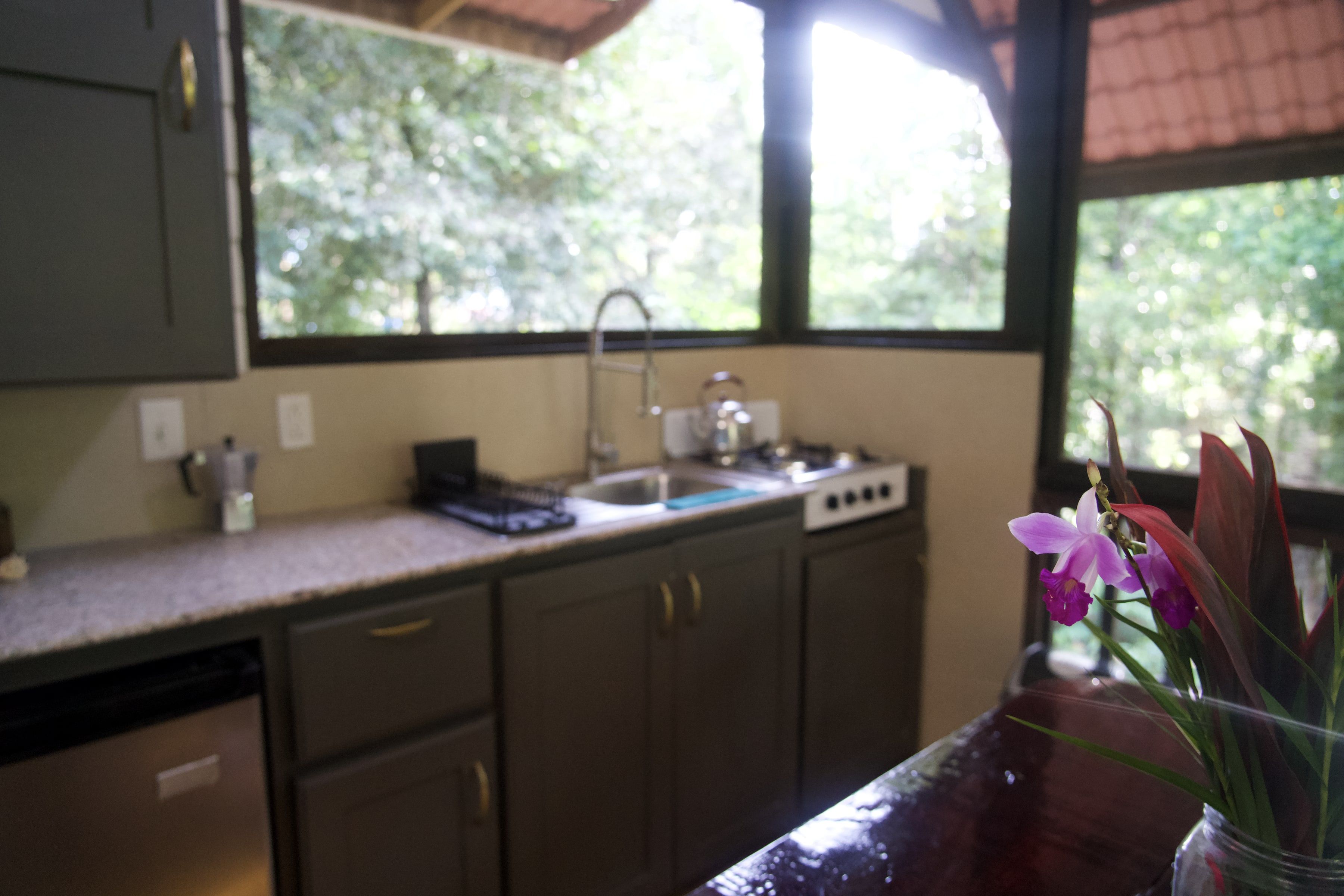 Flowers on the table, with the kitchenette and the jungle behind