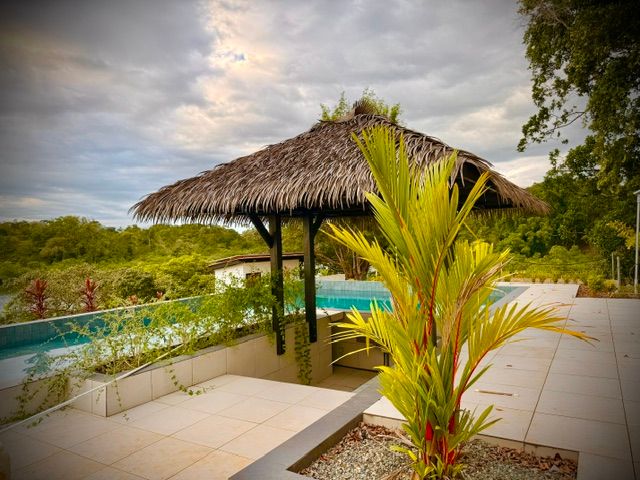The outdoor pool, with the palapa and plants