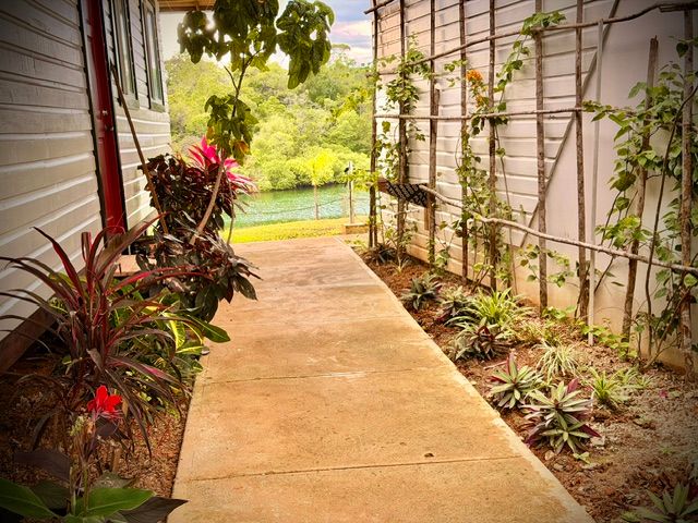 A path between climbing plants