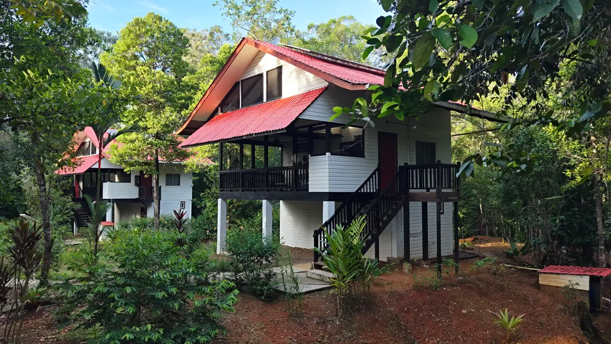 The two Jungle Lodges, facing each other, among the trees